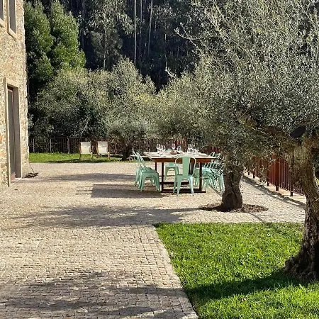 Villa New Quinta Dos Moinhos Douro / 6 Chambres/piscine Medas