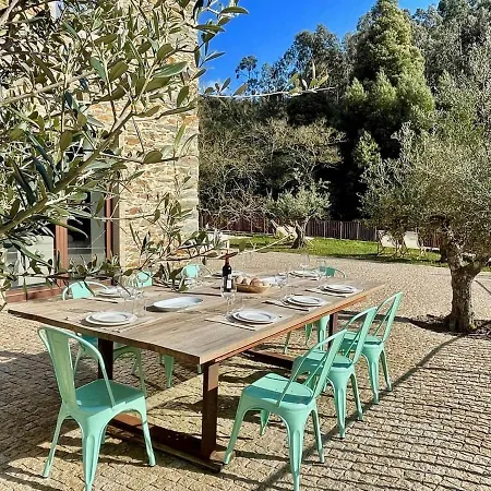 New Quinta Dos Moinhos Douro / 6 Chambres/piscine Villa Medas
